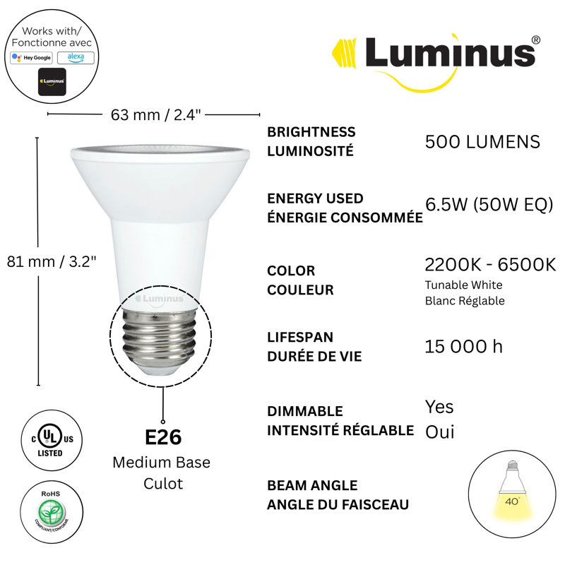 6.5 Watt Bulb