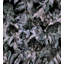 Hydrangea Garden-1791265054-1791276773