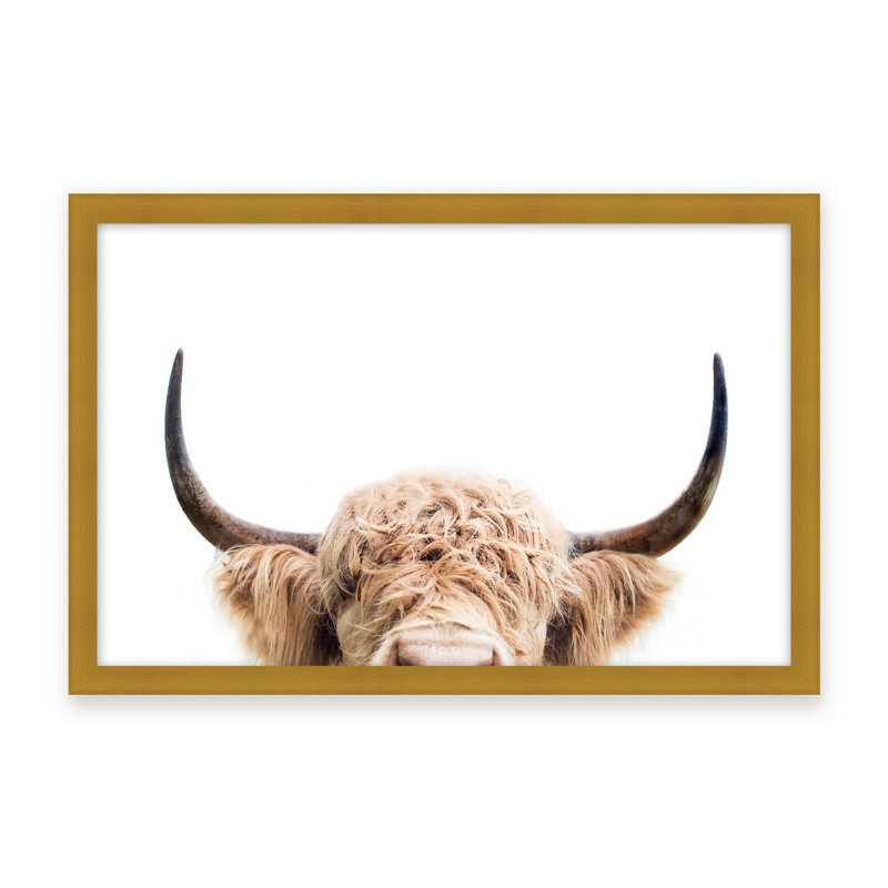 Nature Inspired Peeking Cow by  - Picture Frame Photograph on Paper, 16" H x 24" W x 1.125" D, Framed Print, Gold