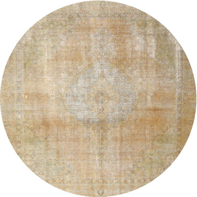 Oriental Indoor Rug