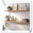 Dawnesha 4 Piece Solid Wood Floating Shelf-915027713