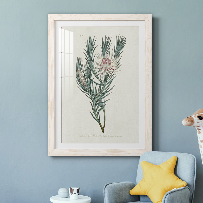 Protea N33 - Peinture encadrée, H 31,5 po x l 23,5 po x P 1,5 po, Cadre blanc