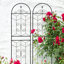2 Pack Metal Garden Trellis Rustproof Trellis For Climbing Plants Outdoor Flower Support Black