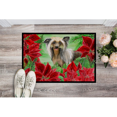 Chinese Non-Slip Outdoor Doormat