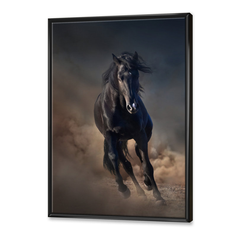 Portrait d'un cheval étalon Purius I - impression maison de campagne, Cadre flottant noir, H 40 po x l 30 po x 1,5 po
