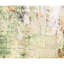 Himalayan Art Hand Knotted Area Rug in Gray/Green/Rust/Ivory-92651058-92651059
