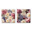 Hadden - Ensemble de 2 collages carrés floraux-101849775-101849773
