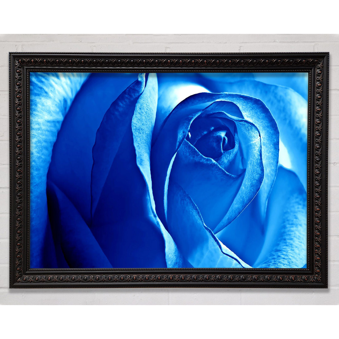 Blaue Rose - Druck