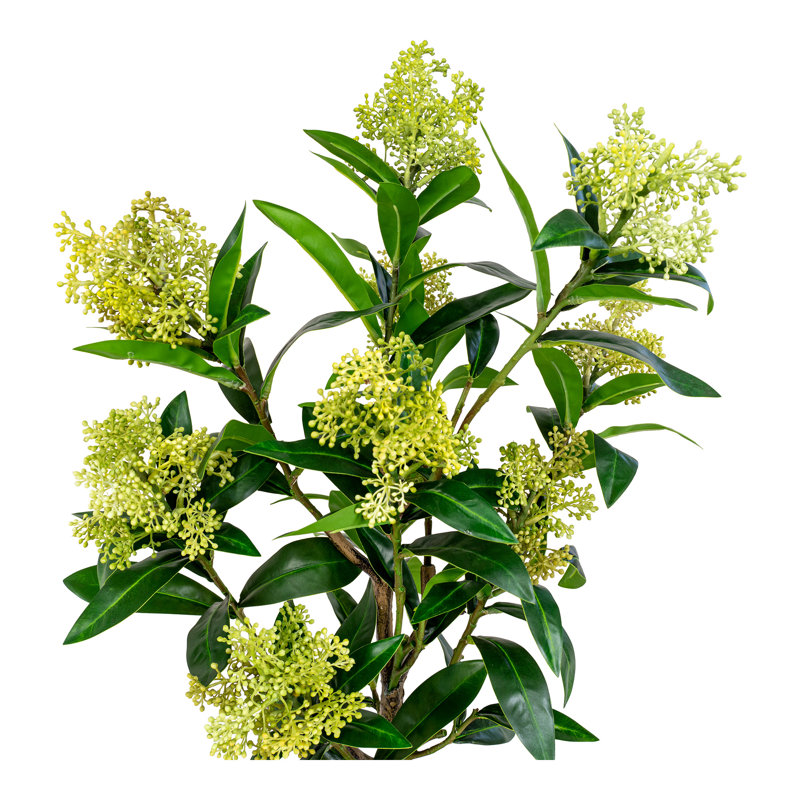 75cm Faux Skimmia Tree