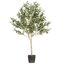 Arbre à fleurs vert olive Vickerman-73286562