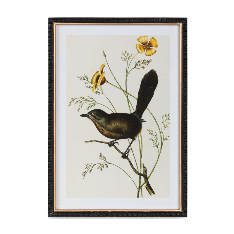Summer Bird Framed Prints