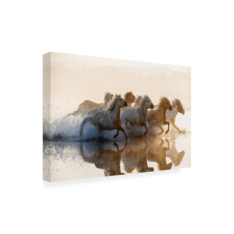 «Summer2016 Horses», art sur toile, H 22 po x l 32 po x P 2 po