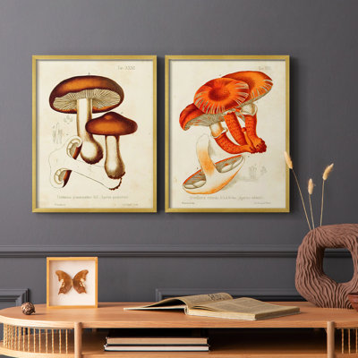«Mushroom Variétés VI», reproduction encadrée de qualité supérieure - prête à être accrochée - aucun clou requis - aucun clou requis