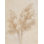 «Pampas Glow I Crop» par Julia Purinton - reproduction
