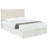 Jamain Upholstered King Panel Headboard Sand-678590674