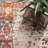 Osco Southwestern Rust Area Rug-2144317900