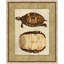 Neutral Turtle 1 Painting