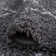 Khristen Performance Dark Gray Shag Rug