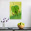 Dragonfly On Dewy Leaf Delicate Serene Tranquil Dragonfly Nature Summer Wall Art Print by Roberto Marini - Print-78052805