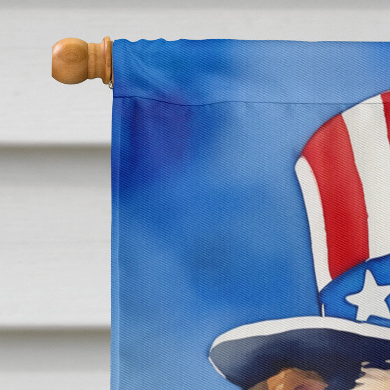 Drapeau patriotique de la maison américaine, Terrier brun