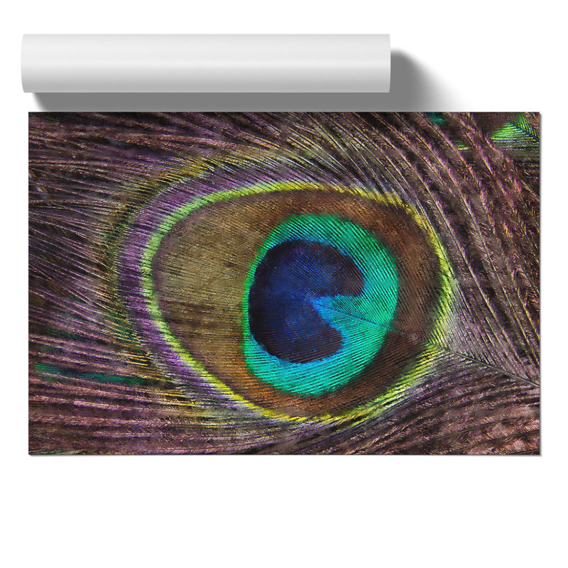 Peacock Feather Painting - Frameless Print, 21cm H x 30cm W x 0.1cm D