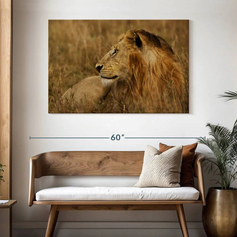 Lion au repos dans le Serengeti, H 32 po x l 48 po