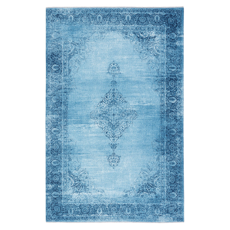 Colegrove Vintage Look Machine Made Indoor / Outdoor Area Rug, Rectangle 230 x 320cm