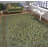Marilina One-of-a-Kind 9'10" X 13'3" 2022 Wool Area Rug