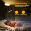 Denija 175cm Torchiere Floor Lamp