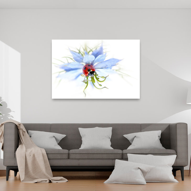 Serene Ladybug On Blue Flower Delicate Serene Vibrant Ladybug Flower Nature Wall Art Print by Jacky Parker - Print