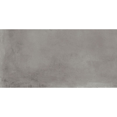 Caementum Albus 24"x48"
