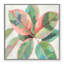 «Pink Ficus II», reproduction d'art-55543214-55543208