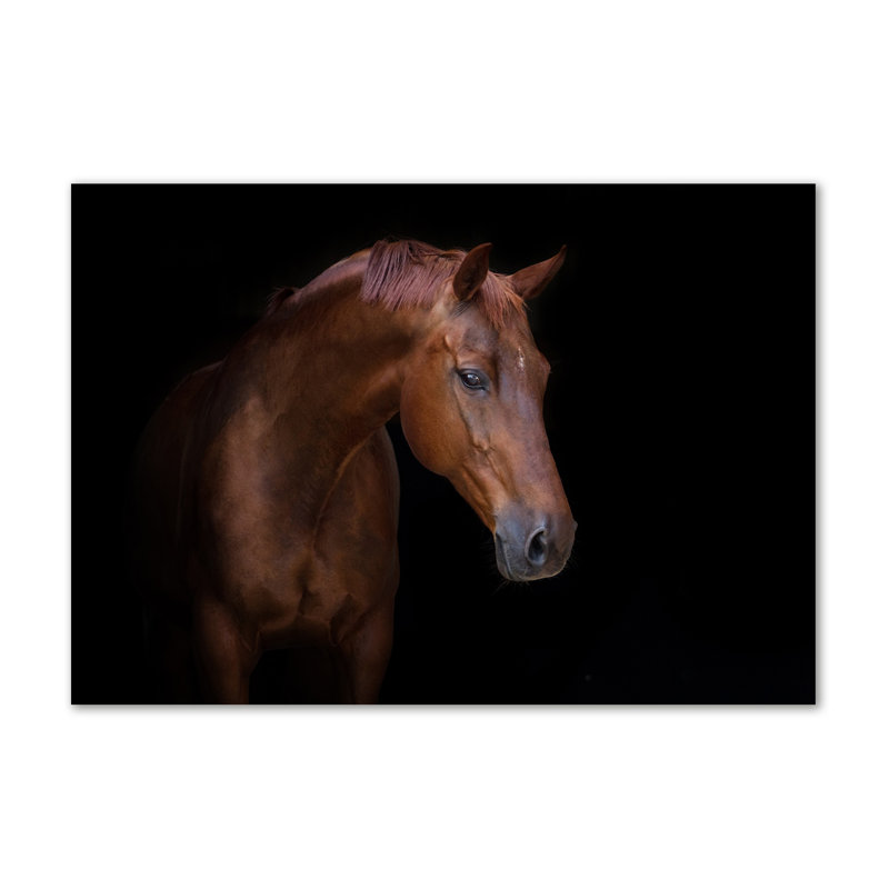 Brown Horse - Wrapped Canvas Print