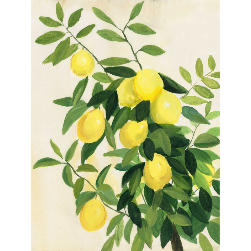 Les citrons peints à la main, H 16 po x l 12 po