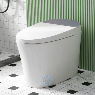 Smart Toilet,One Piece Bidet Toilet For Bathrooms,Modern Elongated Toilet With Warm Water,Dual Auto Flush,Heated Bidet Seat