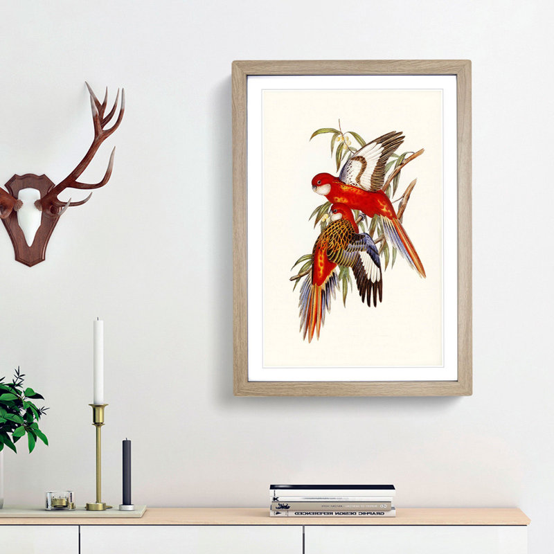 Fiery Parakeets by Elizabeth Gould - Picture Frame Art Print, 65cm H x 48cm W x 2cm D, Oak Framed