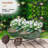 Shadforth Metal Wheelbarrow Planter