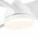 Jareem 28'' Ceiling Fan with LED Lights