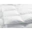 Édredon en duvet de canard 600 L-1809152050