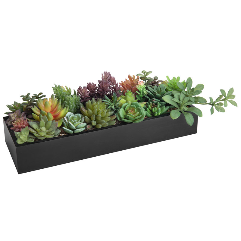 Plante grasse artificielle 3 po en pot