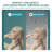 32"W X 72"H Fold Frameless Shower Door With Tempered Glass-123810712