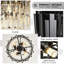 Aaston Chandelier-327921116-327921083-332799241