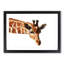 Geometric Giraffe in Abstract - Framed Print-55727022-55727027