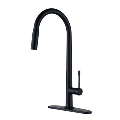 CASAINC 1.8 GPM Single-Handle Pull-Down Kitchen Faucet Single Hole Faucet -  CA-D4188-MB