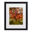 Art encadré moisis Levy «The Tree Vertical»-70074289-70074291