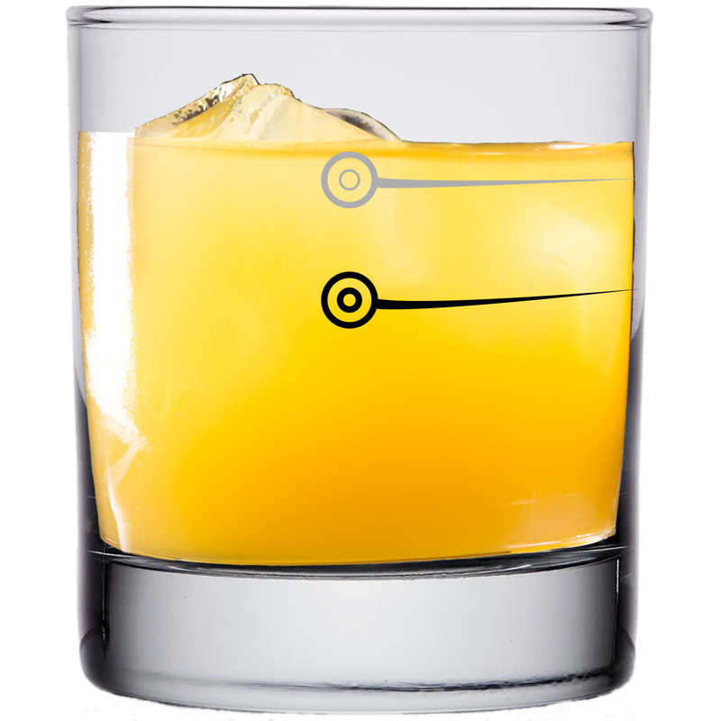 Dorcent 10oz. Whiskey Glass