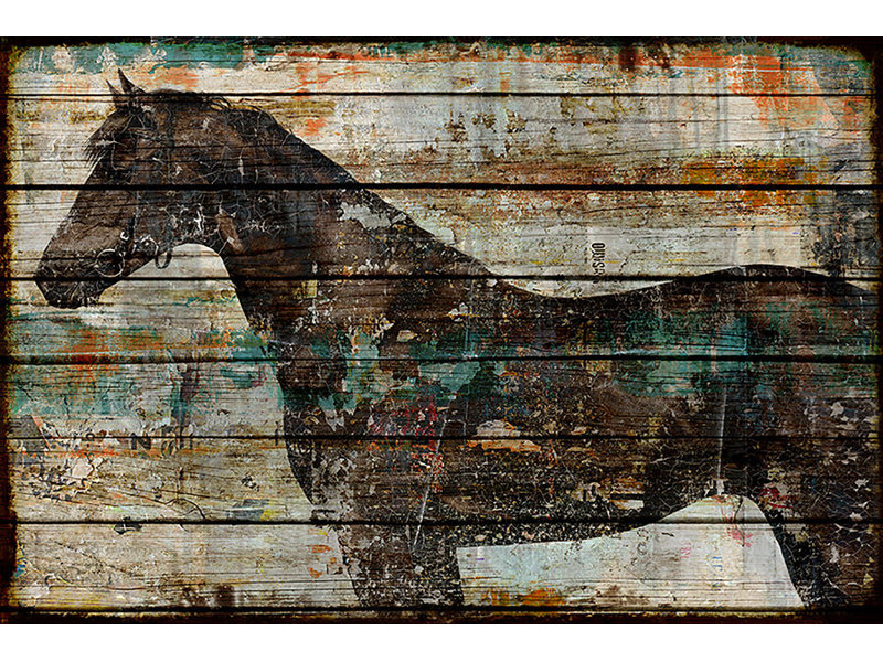 Fenced In Print by Sofia Fox, 54" H x 81" W, Outdoor