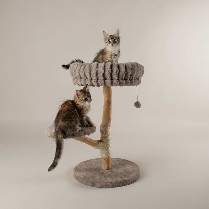 Scruffs Atlas Cat Scratching Tree, Taupe