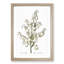 Yucca Flowers by Pierre-Joseph Redoute - Picture Frame Graphic Art Print-55641954-55641957
