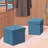 Trautman Upholstered Ottoman-434314607